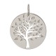 Médaille Arbre de Vie Lucas