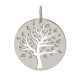 Médaille Arbre de Vie Lucas